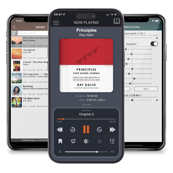 Download fo free audiobook Principles by Ray Dalio and listen anywhere on your iOS devices in the ListenBook app.