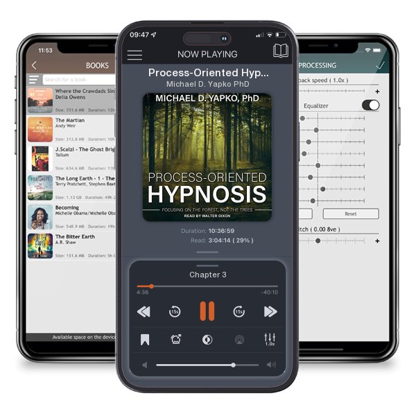 Download fo free audiobook Process-Oriented Hypnosis by Michael D. Yapko PhD and listen anywhere on your iOS devices in the ListenBook app.