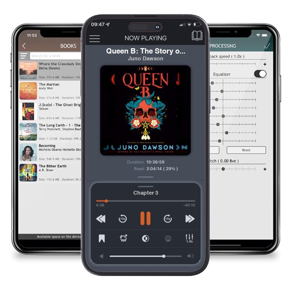 Download fo free audiobook Queen B: The Story of Anne Boleyn, Witch Queen by Juno Dawson and listen anywhere on your iOS devices in the ListenBook app.