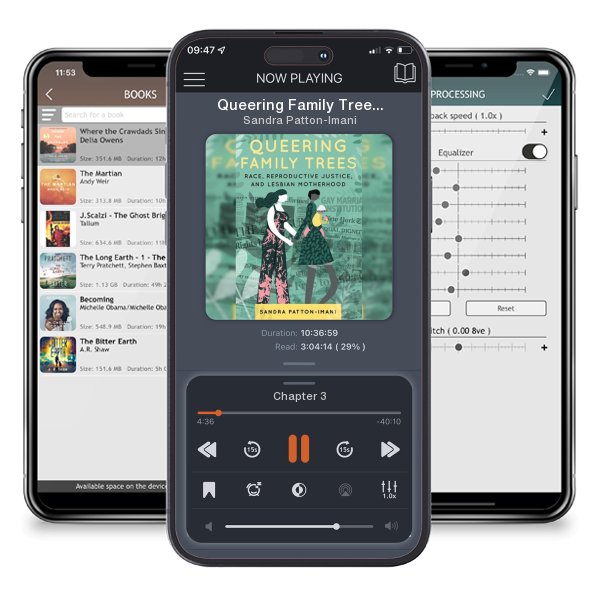 Download fo free audiobook Queering Family Trees: Race, Reproductive Justice, and... by Sandra Patton-Imani and listen anywhere on your iOS devices in the ListenBook app.