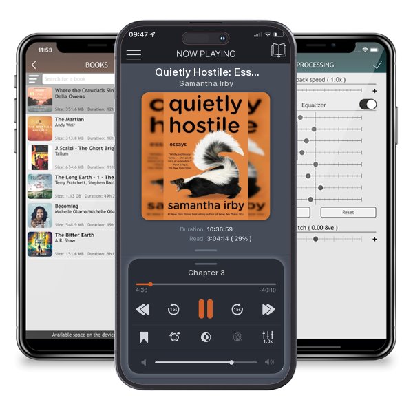 Download fo free audiobook Quietly Hostile: Essays by Samantha Irby and listen anywhere on your iOS devices in the ListenBook app.