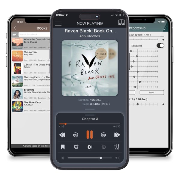 Download fo free audiobook Raven Black: Book One of the Shetland Island Mysteries by Ann Cleeves and listen anywhere on your iOS devices in the ListenBook app.