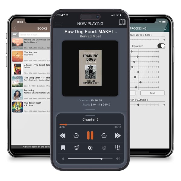 Download fo free audiobook Raw Dog Food: MAKE IT EASY FOR YOU AND YOUR DOG by Konrad Most and listen anywhere on your iOS devices in the ListenBook app.