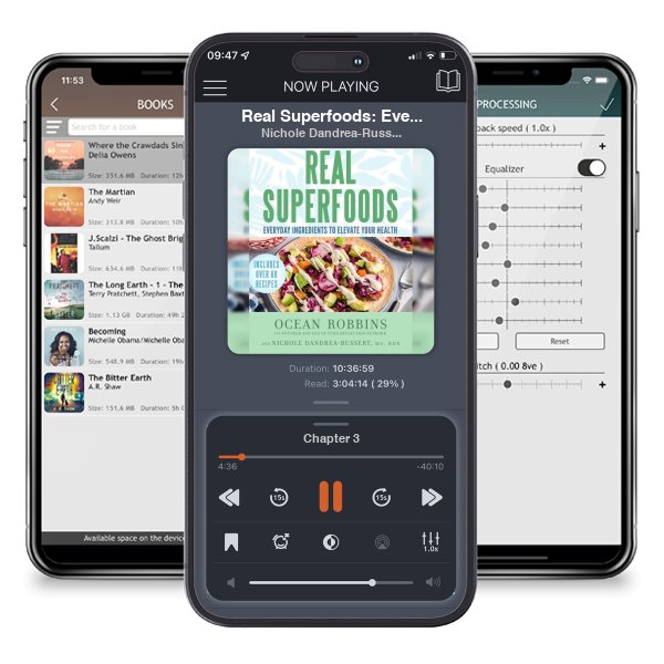 Download fo free audiobook Real Superfoods: Everyday Ingredients to Elevate Your Health by Nichole Dandrea-Russert and Ocean Robbins and listen anywhere on your iOS devices in the ListenBook app.