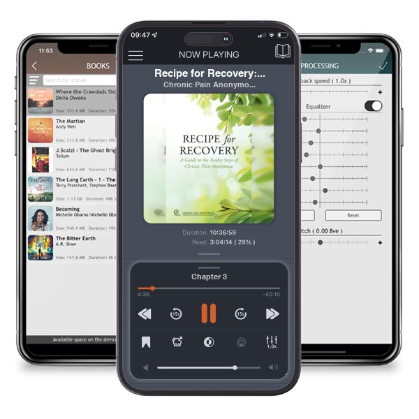 Download fo free audiobook Recipe for Recovery: A Guide to the Twelve Steps of Chronic Pain Anonymous by Chronic Pain Anonymous Service Board and listen anywhere on your iOS devices in the ListenBook app.
