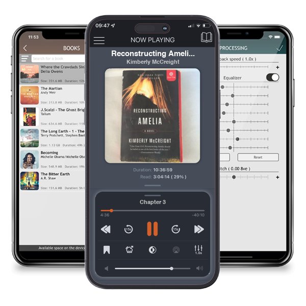 Download fo free audiobook Reconstructing Amelia by Kimberly McCreight and listen anywhere on your iOS devices in the ListenBook app.