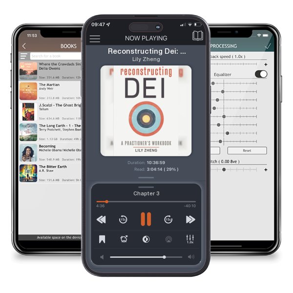 Download fo free audiobook Reconstructing Dei: A Practitioner's Workbook by Lily Zheng and listen anywhere on your iOS devices in the ListenBook app.