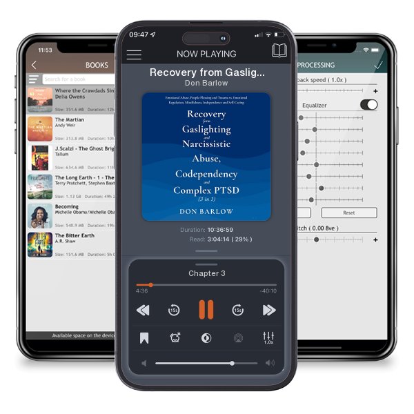 Download fo free audiobook Recovery from Gaslighting and Narcissistic Abuse, Codependency and Complex PTSD (3 in 1) by Don Barlow and listen anywhere on your iOS devices in the ListenBook app.