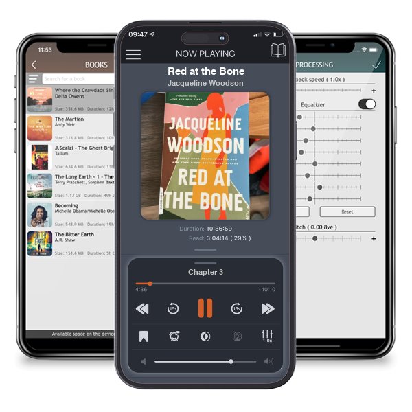Download fo free audiobook Red at the Bone by Jacqueline Woodson and listen anywhere on your iOS devices in the ListenBook app.