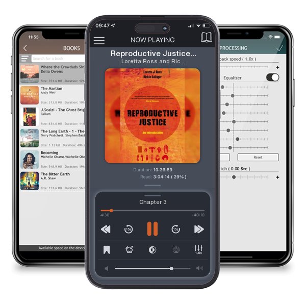 Download fo free audiobook Reproductive Justice: An Introduction Volume 1 by Loretta Ross and Rickie Solinger and listen anywhere on your iOS devices in the ListenBook app.