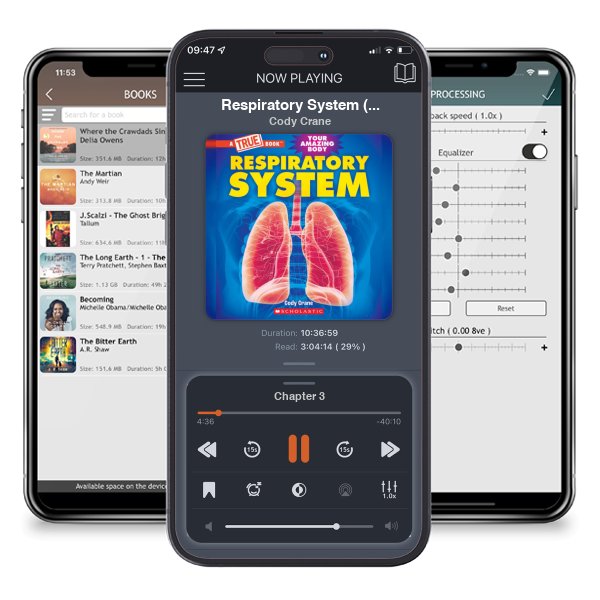 Download fo free audiobook Respiratory System (A True Book: Your Amazing Body) (A True Book (Relaunch)) by Cody Crane and listen anywhere on your iOS devices in the ListenBook app.