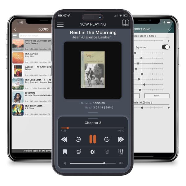 Download fo free audiobook Rest in the Mourning by Jean-Clarence Lambert and listen anywhere on your iOS devices in the ListenBook app.