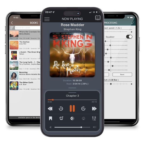 Download fo free audiobook Rose Madder by Stephen King and listen anywhere on your iOS devices in the ListenBook app.