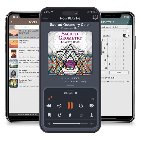 Download fo free audiobook Sacred Geometry Coloring Book by Francene Hart and listen anywhere on your iOS devices in the ListenBook app.