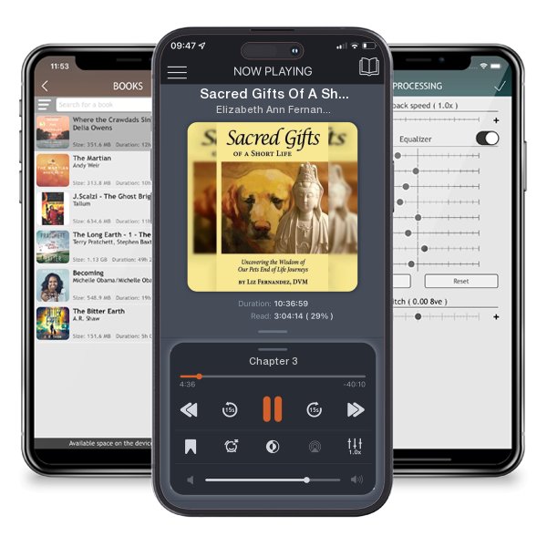 Download fo free audiobook Sacred Gifts Of A Short Life: Uncovering The Wisdom Of Our Pets End Of Life Journeys by Elizabeth Ann Fernandez and listen anywhere on your iOS devices in the ListenBook app.