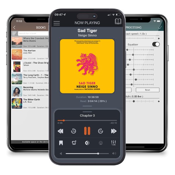 Download fo free audiobook Sad Tiger by Neige Sinno and listen anywhere on your iOS devices in the ListenBook app.