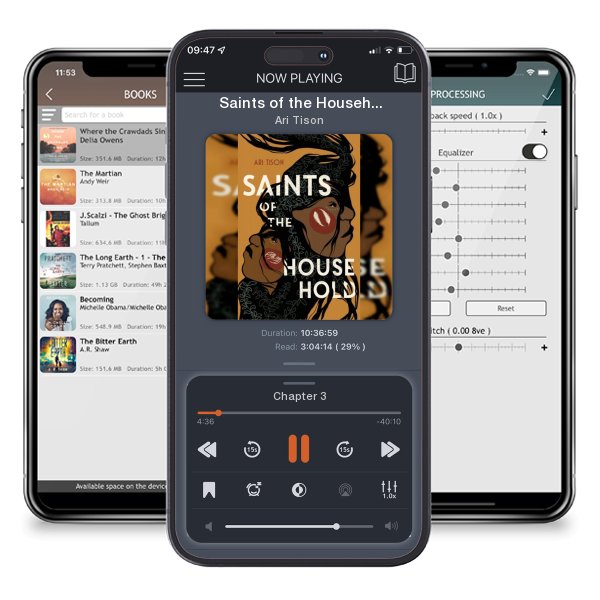 Download fo free audiobook Saints of the Household by Ari Tison and listen anywhere on your iOS devices in the ListenBook app.
