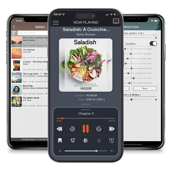 Download fo free audiobook Saladish: A Crunchier, Grainier, Herbier, Heartier, Tastier... by Ilene Rosen and listen anywhere on your iOS devices in the ListenBook app.