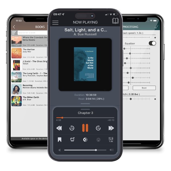 Download fo free audiobook Salt, Light, and a City, Second Edition: Conformation—Ecclesiology for the Global Missional Community: Volume 2, Majority World Voices by A. Sue Russell and listen anywhere on your iOS devices in the ListenBook app.
