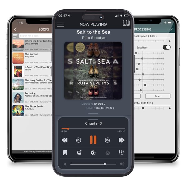 Download fo free audiobook Salt to the Sea by Ruta Sepetys and listen anywhere on your iOS devices in the ListenBook app.