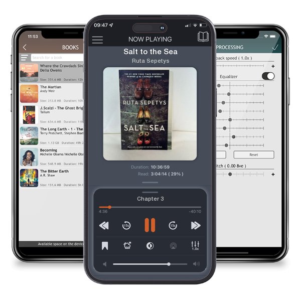 Download fo free audiobook Salt to the Sea by Ruta Sepetys and listen anywhere on your iOS devices in the ListenBook app.