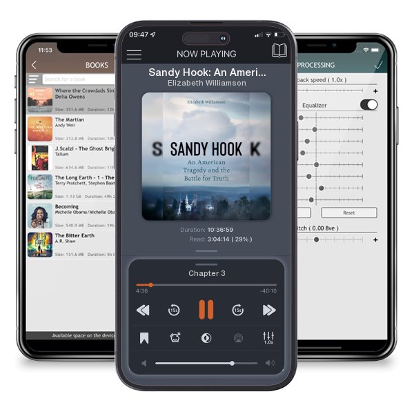 Download fo free audiobook Sandy Hook: An American Tragedy and the Battle for Truth by Elizabeth Williamson and listen anywhere on your iOS devices in the ListenBook app.