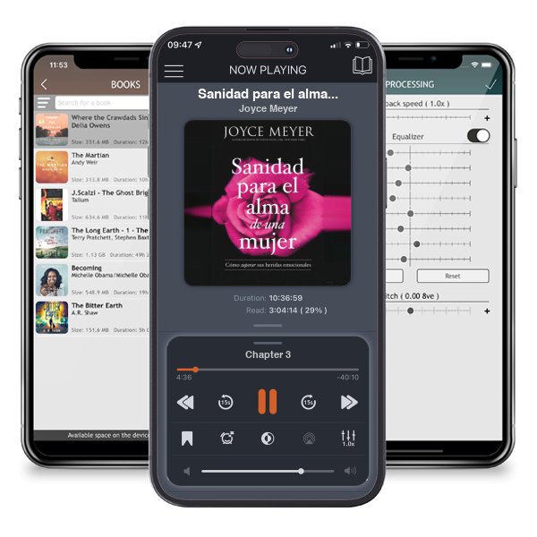 Descargar audiolibro gratis Sanidad para el alma de una mujer: Cómo superar sus heridas emocionales by Joyce Meyer y escuchar en cualquier lugar en sus dispositivos iOS en la aplicación ListenBook.