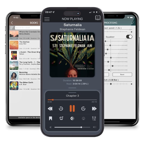 Download fo free audiobook Saturnalia by Stephanie Feldman and listen anywhere on your iOS devices in the ListenBook app.