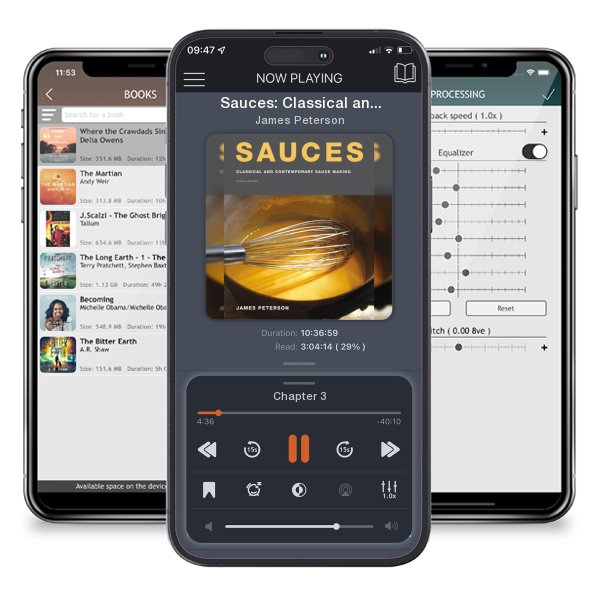 Download fo free audiobook Sauces: Classical and Contemporary Sauce Making, Fourth Edition by James Peterson and listen anywhere on your iOS devices in the ListenBook app.