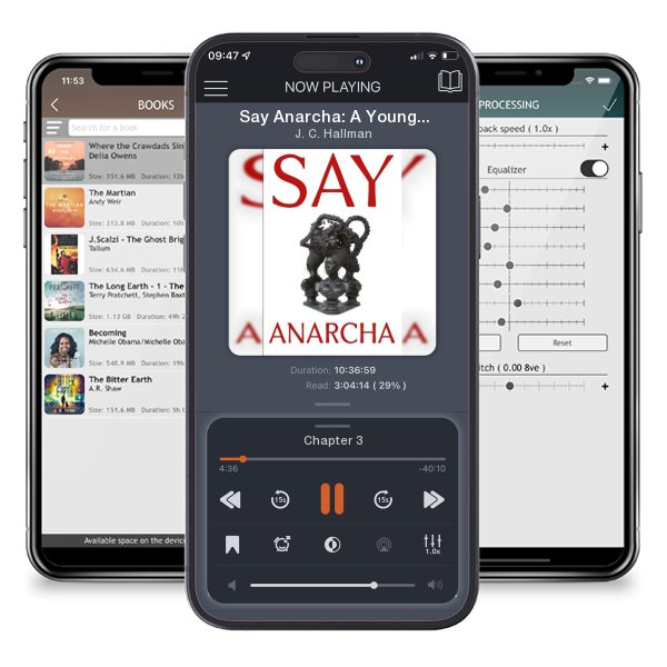 Download fo free audiobook Say Anarcha: A Young Woman, a Devious Surgeon, and the... by J. C. Hallman and listen anywhere on your iOS devices in the ListenBook app.