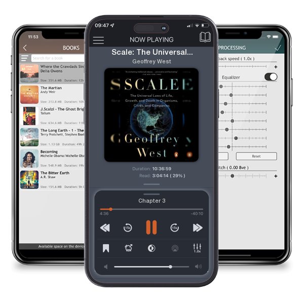 Download fo free audiobook Scale: The Universal Laws of Life, Growth, and Death in... by Geoffrey West and listen anywhere on your iOS devices in the ListenBook app.