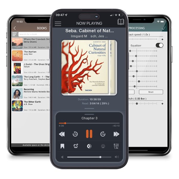 Download fo free audiobook Seba. Cabinet of Natural Curiosities. 40th Ed. by Irmgard Müsch, Jes Rust,  et al. and listen anywhere on your iOS devices in the ListenBook app.