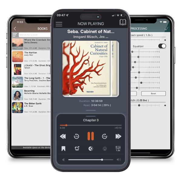 Download fo free audiobook Seba. Cabinet of Natural Curiosities. 40th Ed. by Irmgard Müsch, Jes Rust,  et al. and listen anywhere on your iOS devices in the ListenBook app.