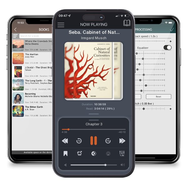 Download fo free audiobook Seba. Cabinet of Natural Curiosities by Irmgard Musch and listen anywhere on your iOS devices in the ListenBook app.