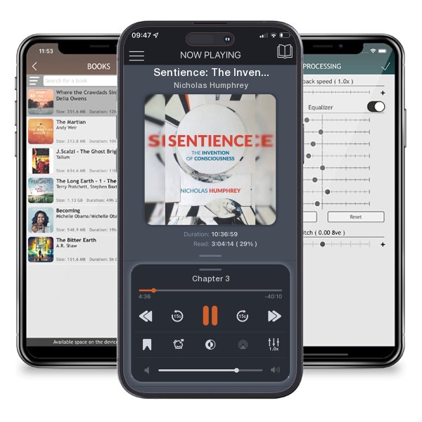 Download fo free audiobook Sentience: The Invention of Consciousness by Nicholas Humphrey and listen anywhere on your iOS devices in the ListenBook app.