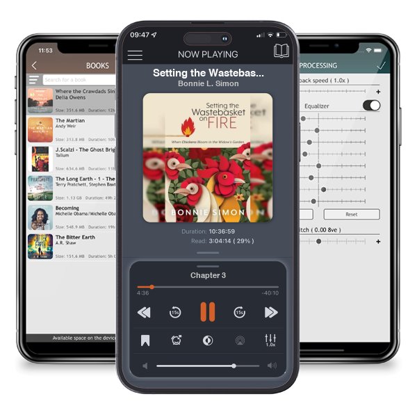 Download fo free audiobook Setting the Wastebasket on FIRE: When Chickens Bloom in the Widow's Garden by Bonnie L. Simon and listen anywhere on your iOS devices in the ListenBook app.