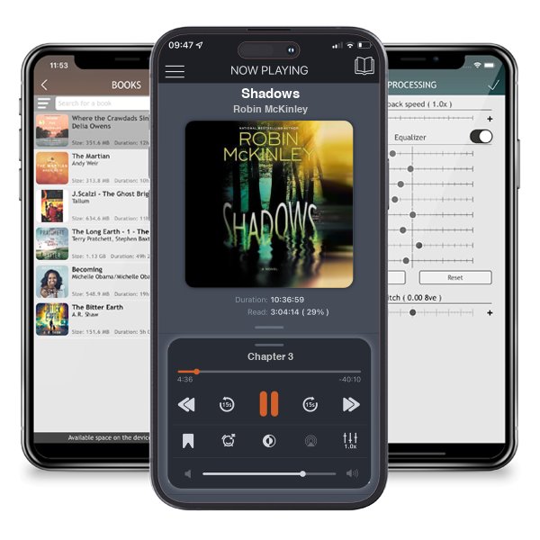 Download fo free audiobook Shadows by Robin McKinley and listen anywhere on your iOS devices in the ListenBook app.