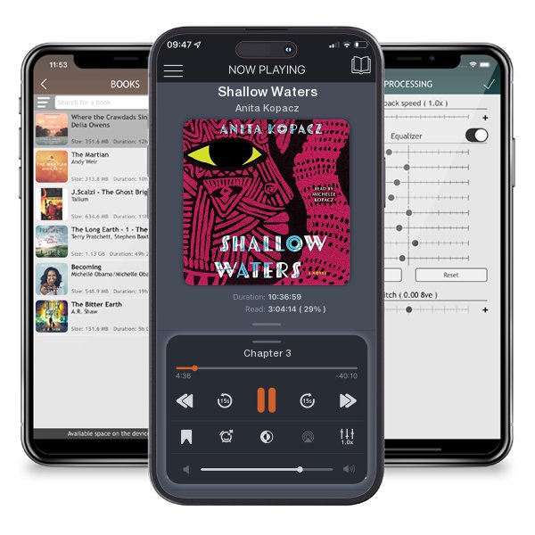 Download fo free audiobook Shallow Waters by Anita Kopacz and listen anywhere on your iOS devices in the ListenBook app.
