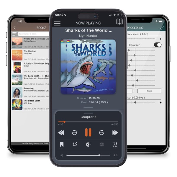 Download fo free audiobook Sharks of the World Coloring Book by Llyn Hunter and listen anywhere on your iOS devices in the ListenBook app.