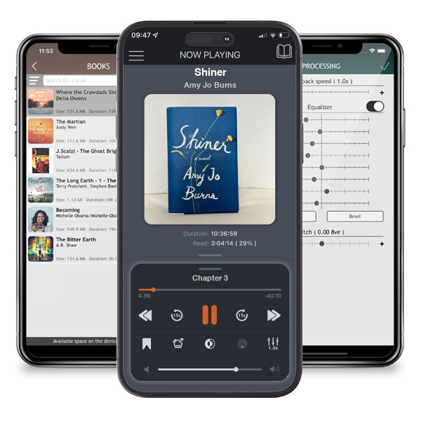 Download fo free audiobook Shiner by Amy Jo Burns and listen anywhere on your iOS devices in the ListenBook app.