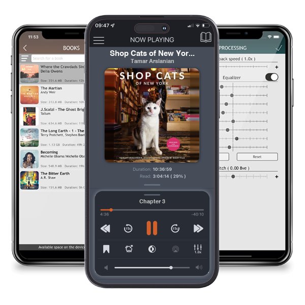 Download fo free audiobook Shop Cats of New York (Revised and Expanded) by Tamar Arslanian and listen anywhere on your iOS devices in the ListenBook app.