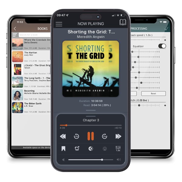 Download fo free audiobook Shorting the Grid: The Hidden Fragility of Our Electric Grid by Meredith Angwin and listen anywhere on your iOS devices in the ListenBook app.