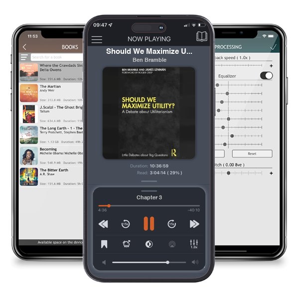 Download fo free audiobook Should We Maximize Utility?: A Debate about Utilitarianism - Little Debates about Big Questions by Ben Bramble and listen anywhere on your iOS devices in the ListenBook app.