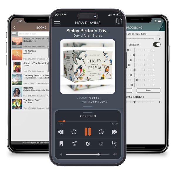 Download fo free audiobook Sibley Birder's Trivia: A Card Game: 400 Questions to Test... by David Allen Sibley and listen anywhere on your iOS devices in the ListenBook app.