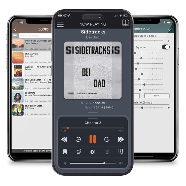 Download fo free audiobook Sidetracks by Bei Dao and listen anywhere on your iOS devices in the ListenBook app.