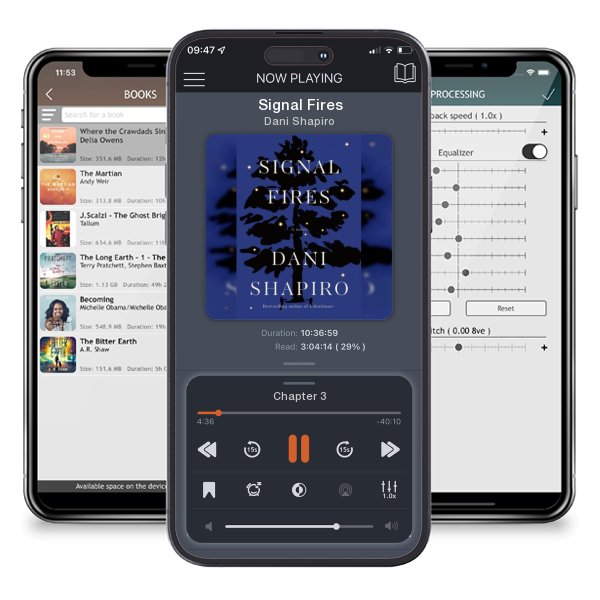 Download fo free audiobook Signal Fires by Dani Shapiro and listen anywhere on your iOS devices in the ListenBook app.