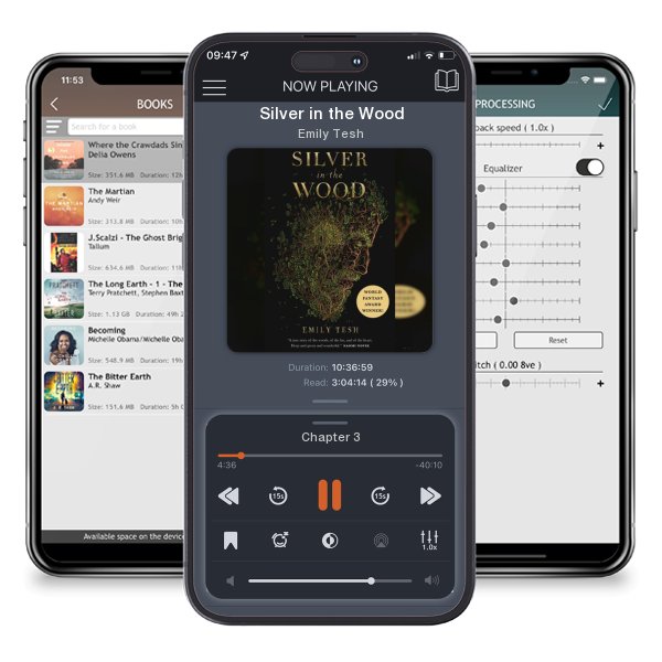 Download fo free audiobook Silver in the Wood by Emily Tesh and listen anywhere on your iOS devices in the ListenBook app.