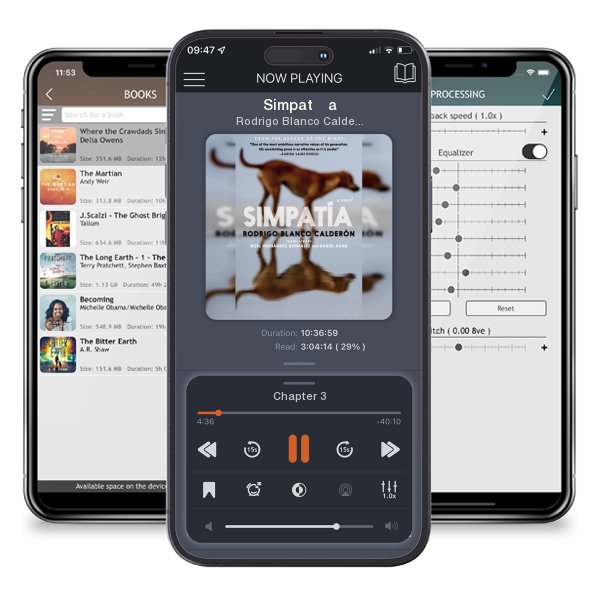 Download fo free audiobook Simpatía by Rodrigo Blanco Calderón and listen anywhere on your iOS devices in the ListenBook app.
