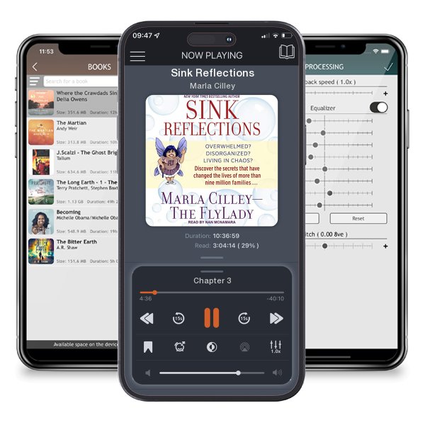 Download fo free audiobook Sink Reflections by Marla Cilley and listen anywhere on your iOS devices in the ListenBook app.