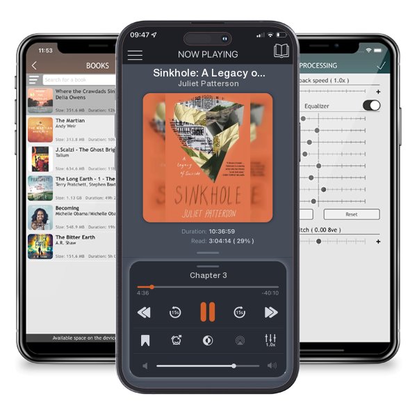 Download fo free audiobook Sinkhole: A Legacy of Suicide by Juliet Patterson and listen anywhere on your iOS devices in the ListenBook app.